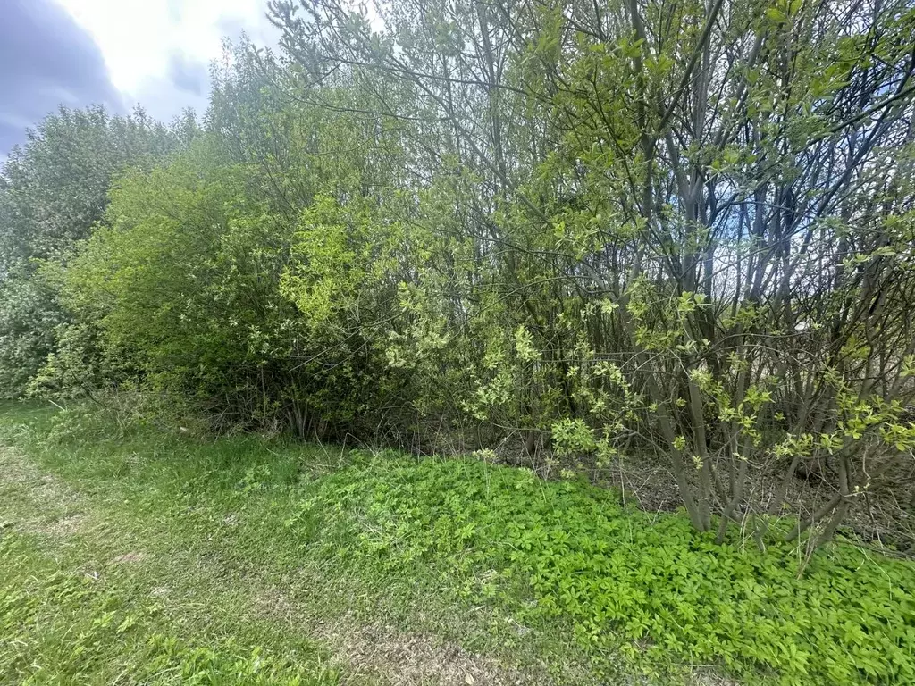 Участок в Московская область, Богородский городской округ, д. Ельня ... - Фото 0