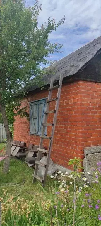 Дом в Воронежская область, Воронеж Иволга СНТ,  (23 м) - Фото 1