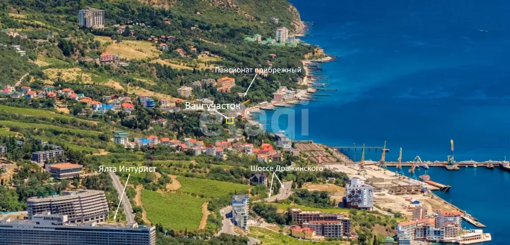 Участок в Крым, Ялта муниципальный округ, Отрадное пгт  (8.0 сот.) - Фото 1