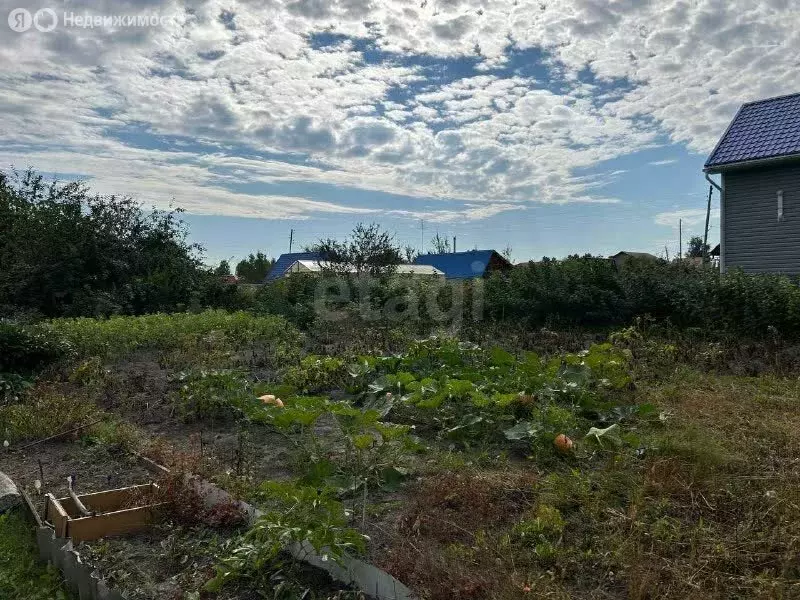 Участок в Тюменская область, Нижнетавдинский муниципальный округ, ТСН ... - Фото 1