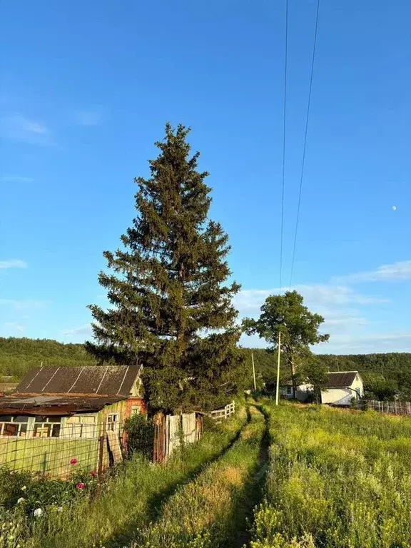 Участок в Башкортостан, Октябрьский Чайка СТ,  (15.0 сот.) - Фото 1