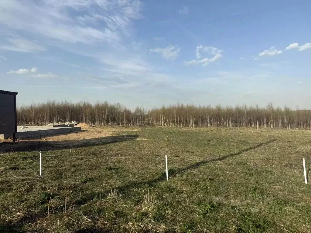 Участок в Нижегородская область, Богородский муниципальный округ, д. ... - Фото 1