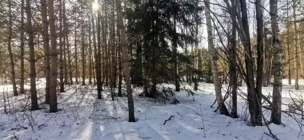 Участок в Тверская область, Калининский муниципальный округ, Лисицкий ... - Фото 2