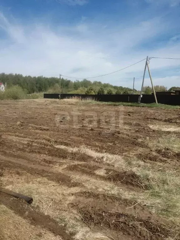 Участок в Тюменская область, Тюмень Лаванда садовое товарищество, ул. ... - Фото 1