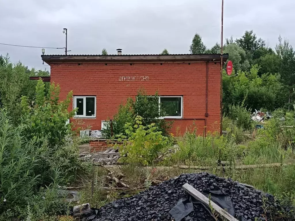 Помещение свободного назначения в Мордовия, Темниковский район, ... - Фото 1
