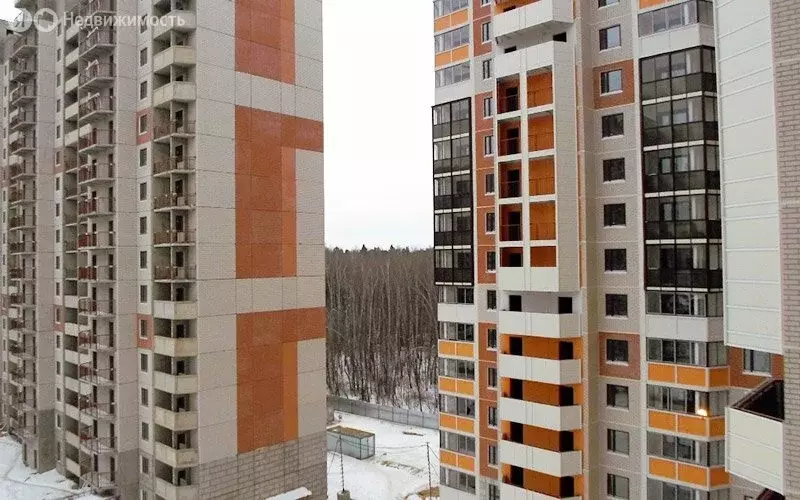 3-комнатная квартира: Балашиха, микрорайон Ольгино, Шестая улица, 11 ... - Фото 1