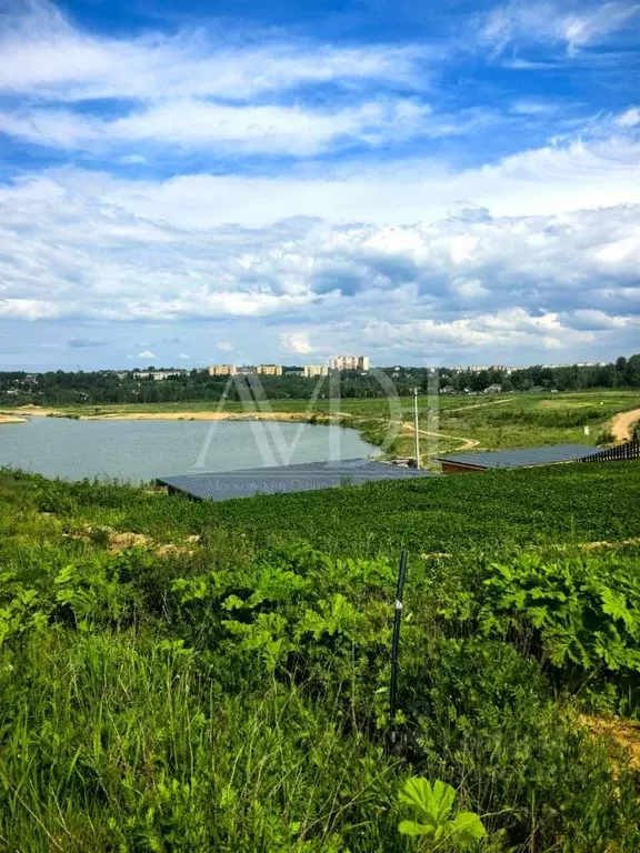 Участок в Московская область, Пушкинский городской округ, с. Путилово ... - Фото 0
