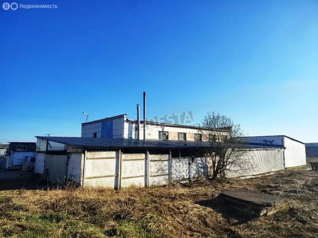 Помещение свободного назначения (1036 м) - Фото 1