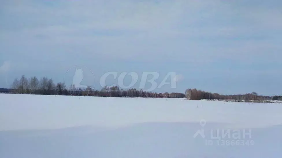 Участок в Тюменская область, Тюменский район, д. Марай  (4.0 сот.) - Фото 0