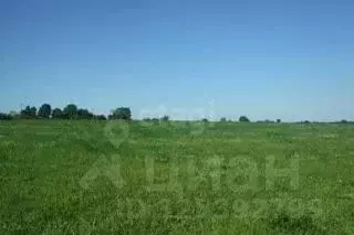 Участок в Липецкая область, Липецкий муниципальный округ, с. Сенцово  ... - Фото 2