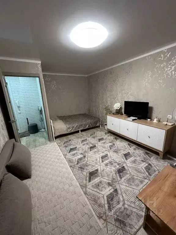 1-к кв. Татарстан, Заинск ул. Ялчыгола, 14 (29.0 м) - Фото 2