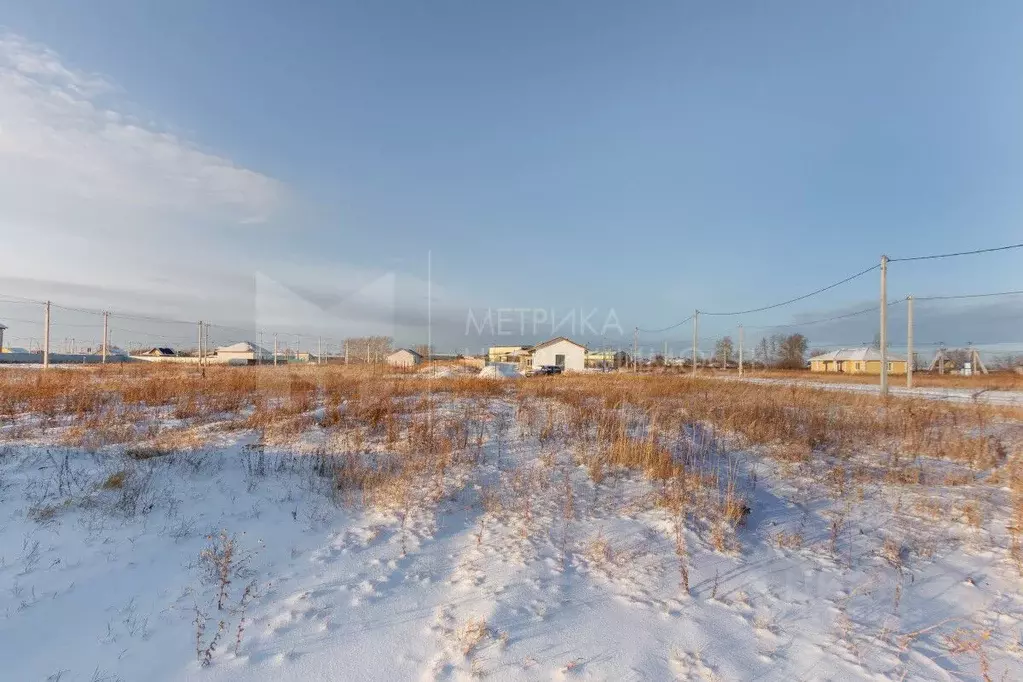 Участок в Тюменская область, Тюменский муниципальный округ, с. Чикча ... - Фото 2