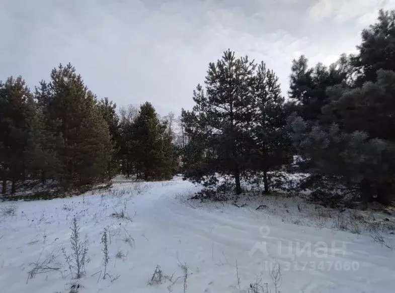 Участок в Московская область, Серпухов городской округ, с. Енино  ... - Фото 0