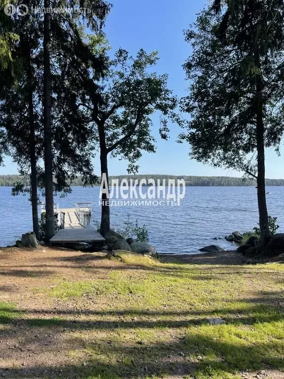 Участок в Выборгский район, Приморское городское поселение, коттеджный ... - Фото 1