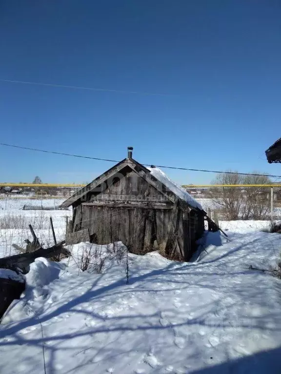 Участок в Нижегородская область, Арзамас городской округ, с. Чернуха ... - Фото 1