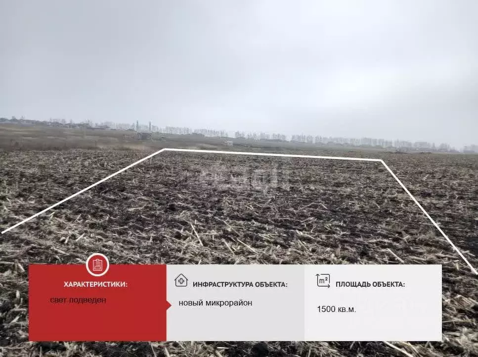 Участок в Белгородская область, Губкин ул. Новаторов, 5 (15.0 сот.) - Фото 1