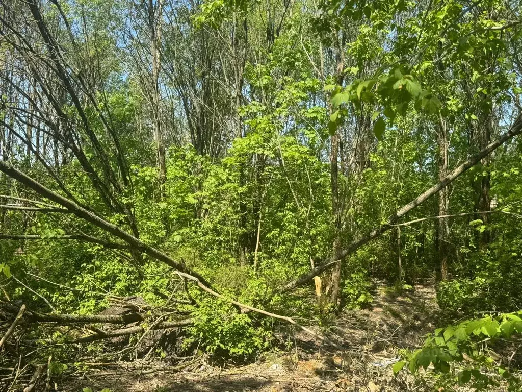 Участок в Московская область, Солнечногорск городской округ, Поварово ... - Фото 0
