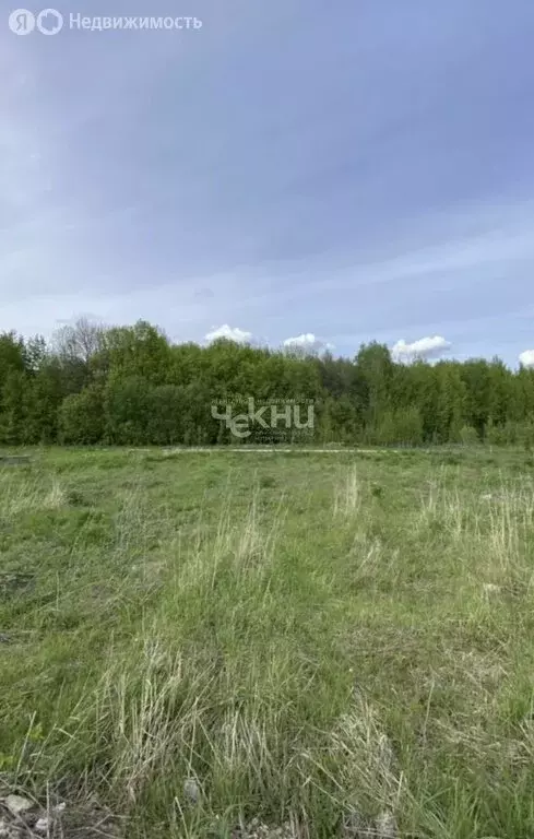 Участок в Нижегородская область, Богородский муниципальный округ, село ... - Фото 0