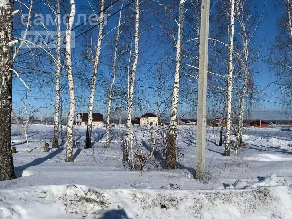 Участок в Пензенская область, с. Бессоновка  (50.0 сот.) - Фото 1