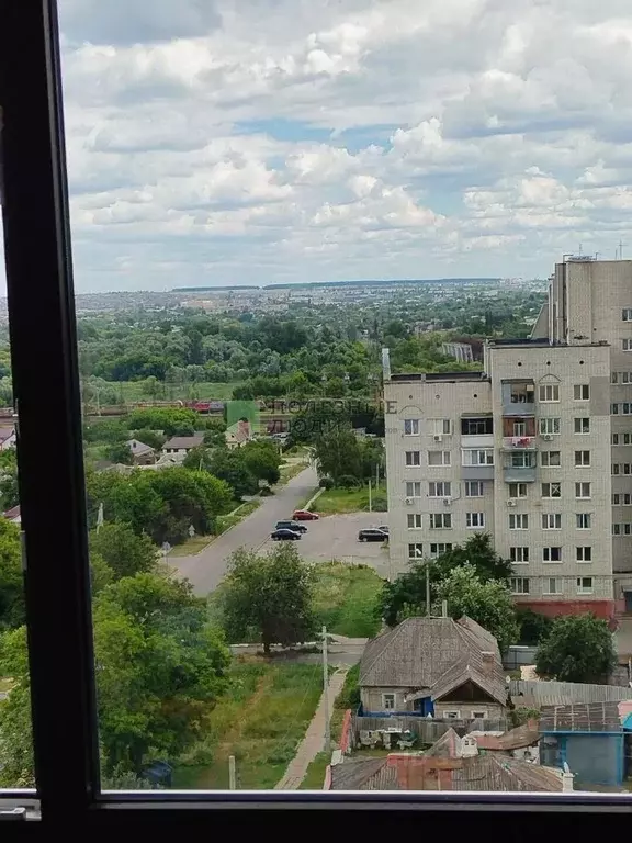 1-к кв. Белгородская область, Белгород Октябрьская ул., 23 (27.5 м) - Фото 1