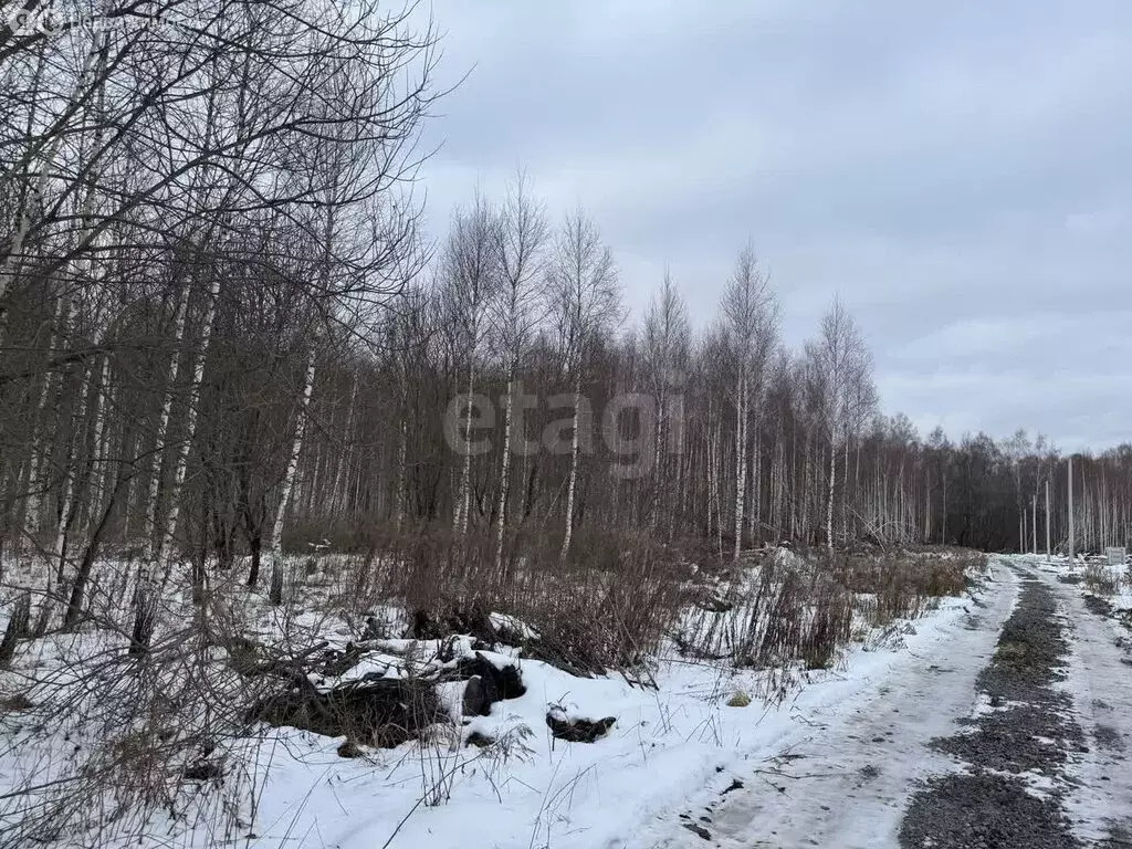 Участок в Тульская область, городской округ Тула, деревня Уваровка (15 ... - Фото 1