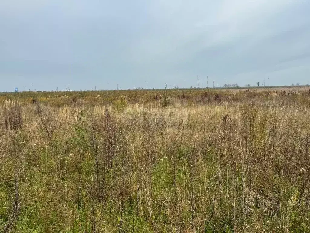 Участок в Калининградская область, Зеленоградский муниципальный округ, ... - Фото 2