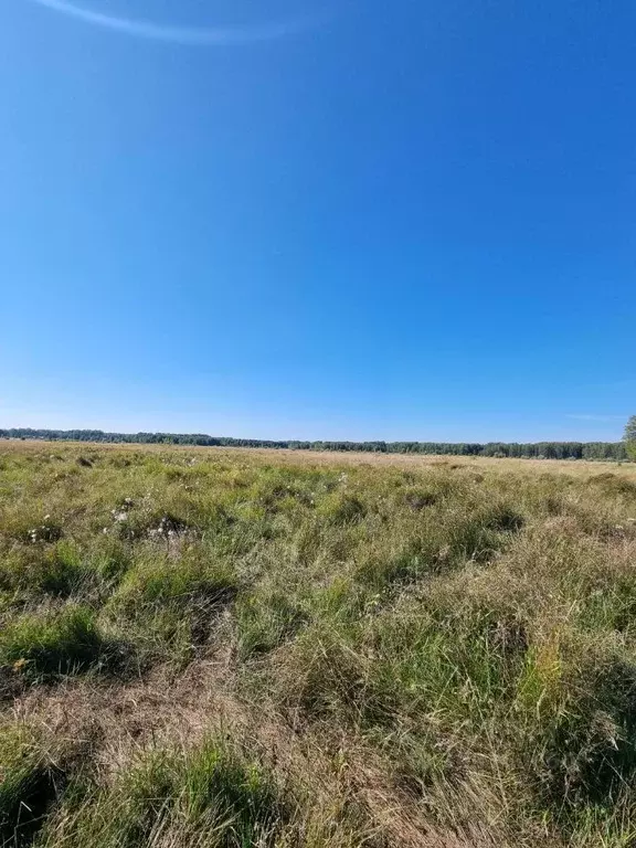 Участок в Челябинская область, Верхнеуральский район, Кирсинское ... - Фото 0