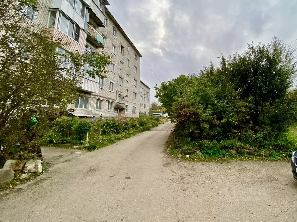 2-к кв. Нижегородская область, Павлово Больничный пер., 2 (45.7 м) - Фото 1