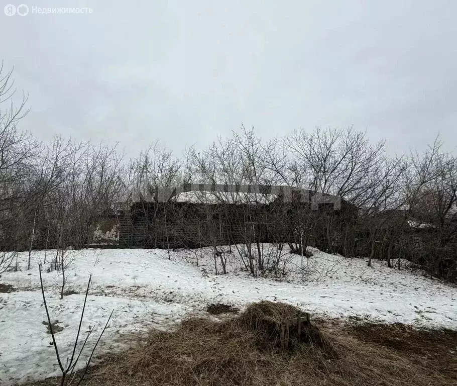 Участок в Колыванский район, деревня Пристань-Почта, Шоссейная улица ... - Фото 1