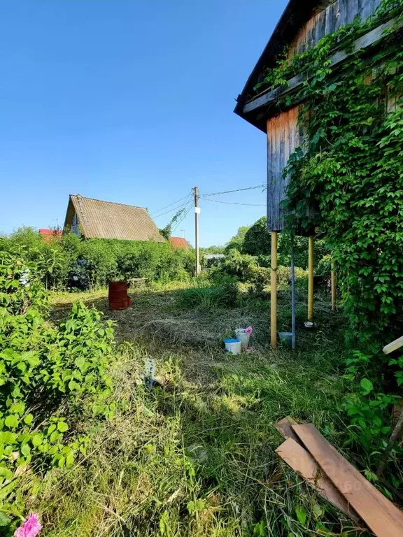 Дом в Башкортостан, Чишминский район, Алкинский сельсовет, Здоровье ... - Фото 2