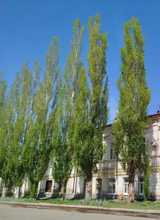 1-к. квартира, 28 м, 2/2 эт. - Фото 1