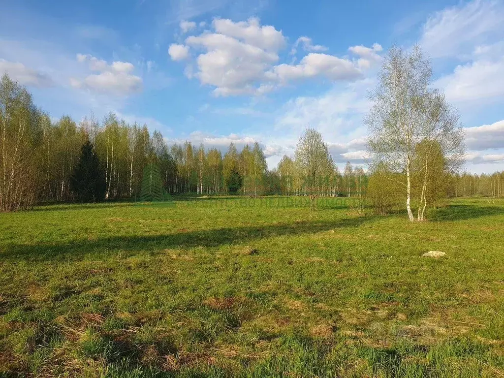 Участок в Калужская область, Тарусский муниципальный округ, Алекино ... - Фото 1