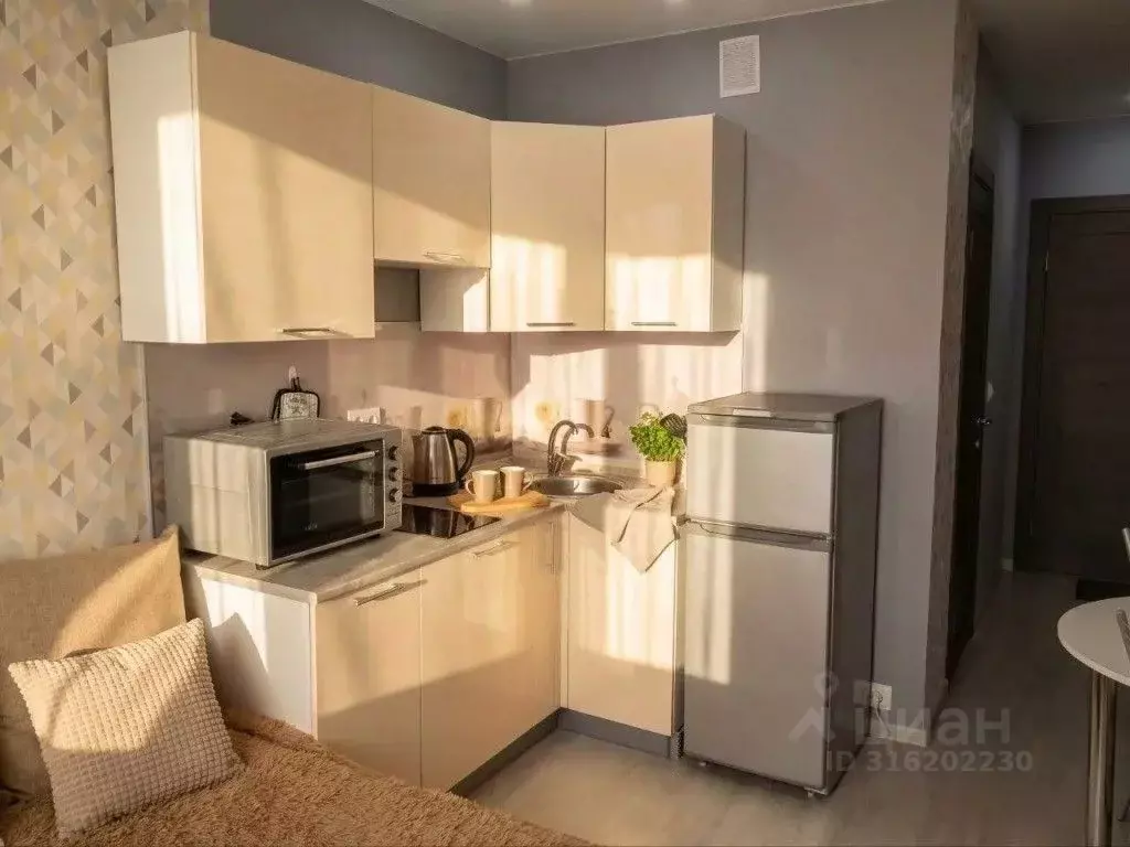 1-к кв. Московская область, Ленинский городской округ, Лопатино пгт ... - Фото 2