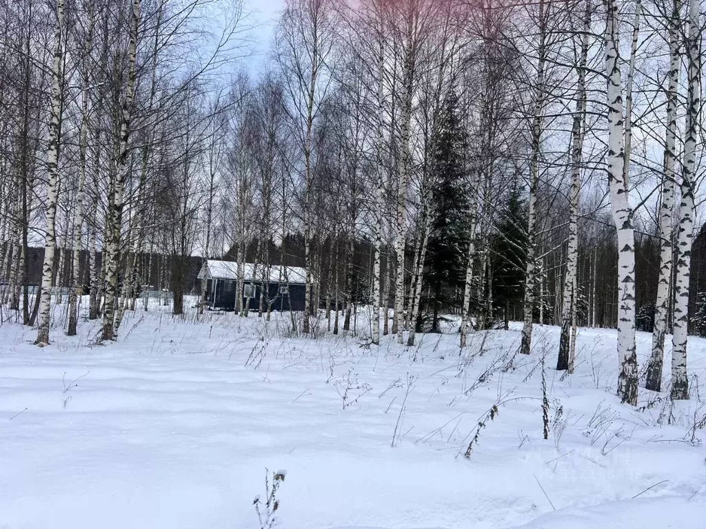 Участок в Московская область, Сергиево-Посадский городской округ, ... - Фото 1