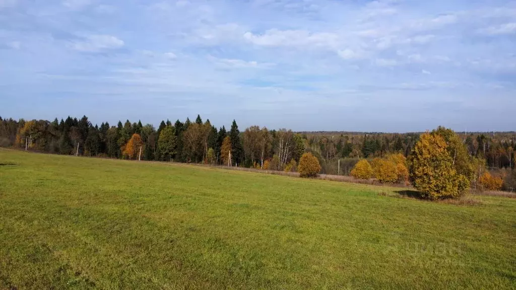 Участок в Московская область, Мытищи городской округ, д. Ларево ул. ... - Фото 0