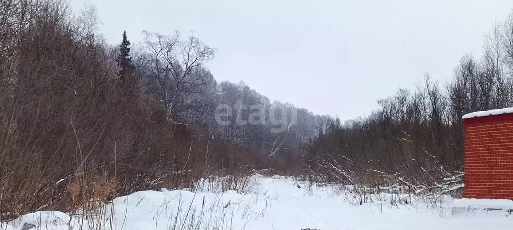 Участок в Томская область, Томск пос. Родионово, ул. Малахитовая ... - Фото 0