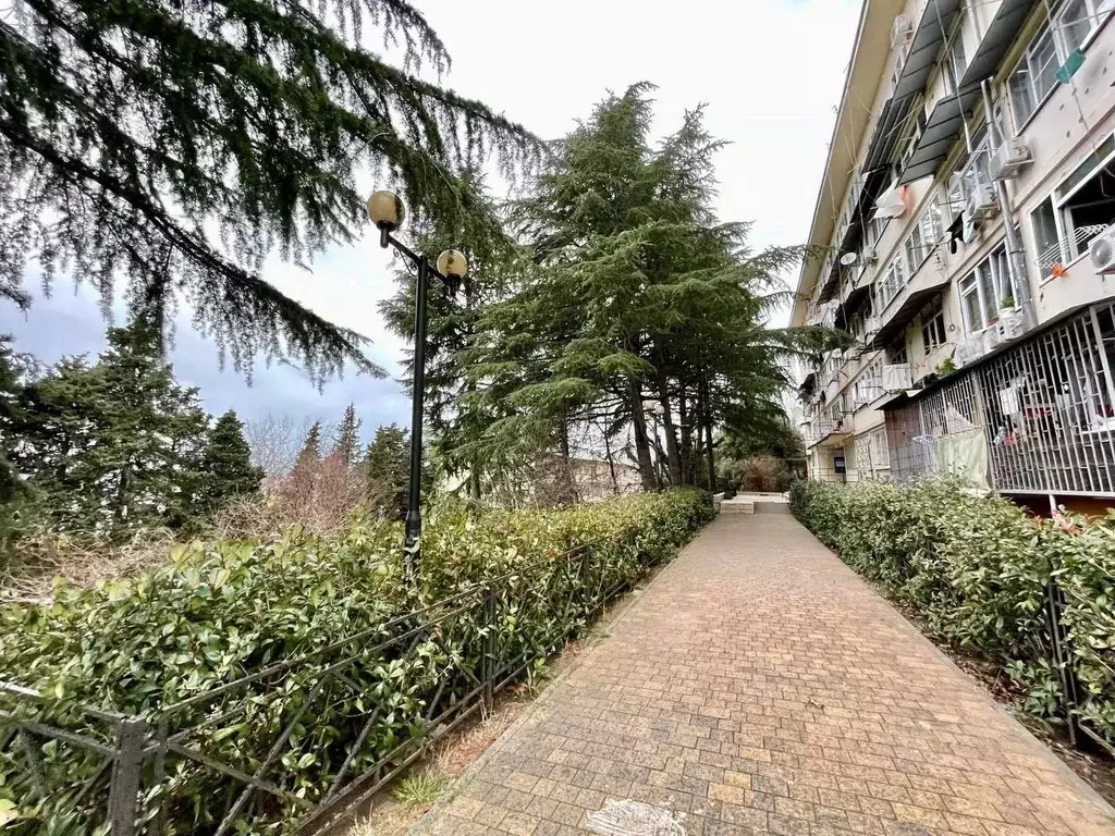 Студия Краснодарский край, Сочи Адлер жилрайон, ул. Голубые Дали, 74 ... - Фото 2