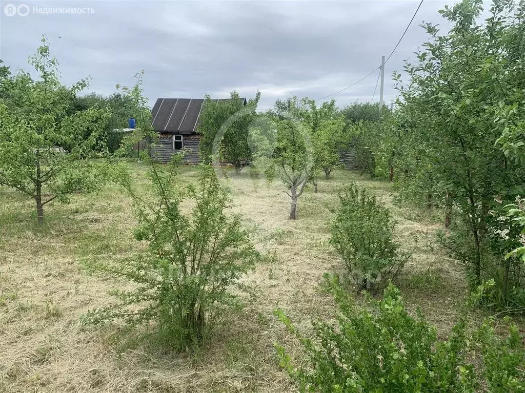 Участок в Рязань, СТ Весна, 365 (6 м) - Фото 1