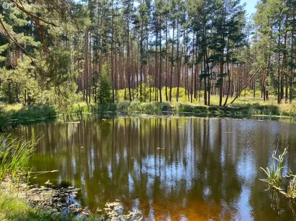 Участок в Воронеж, СНТ Дубрава, Клубничная улица (12 м) - Фото 2