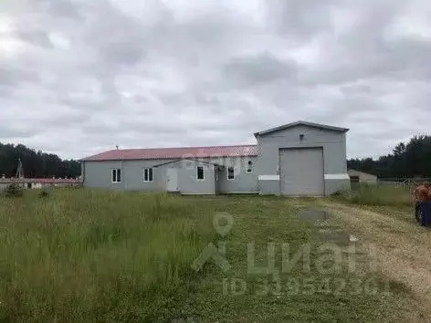 Склад в Калужская область, Юхновский район, Беляево с/пос, д. Беляево ... - Фото 1