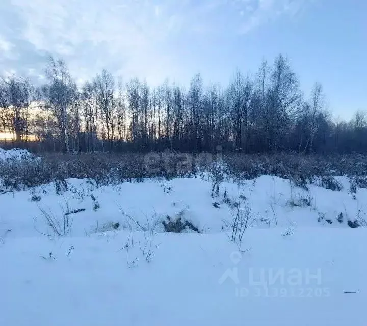 Участок в Кировская область, Кирово-Чепецкий район, Кстининское с/пос, ... - Фото 0