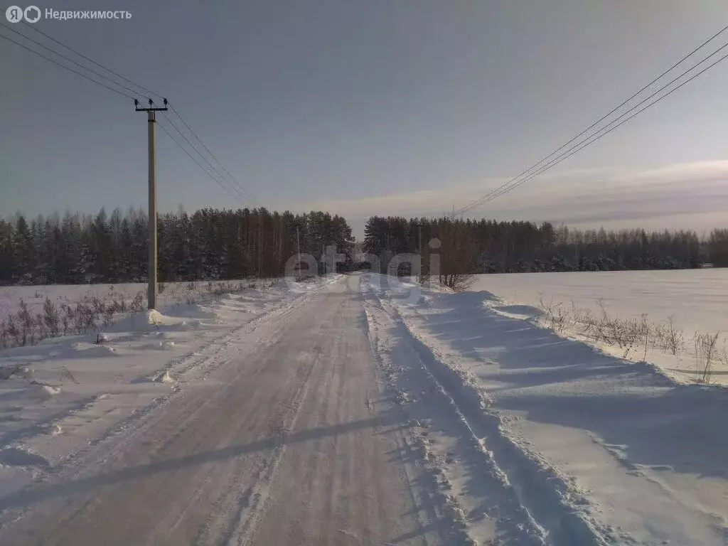 Участок в Высокогорский район, Берёзкинское сельское поселение, село ... - Фото 1