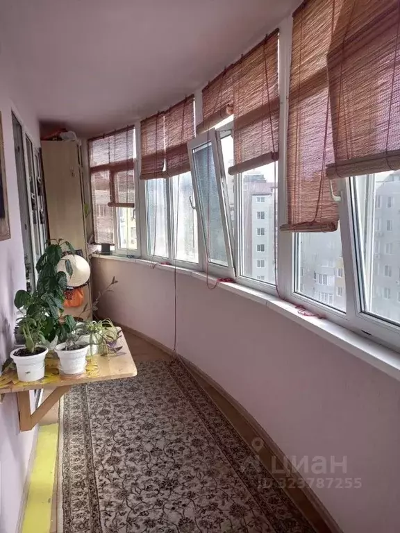 2-к кв. Краснодарский край, Анапа Крымская ул., 272 (69.0 м) - Фото 1