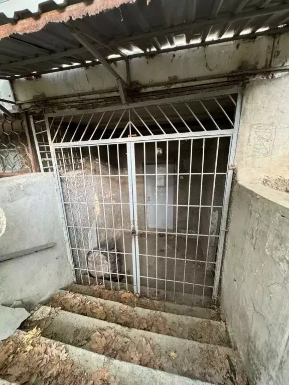 Помещение свободного назначения в Крым, Симферополь ул. Стахановцев, 3 ... - Фото 1