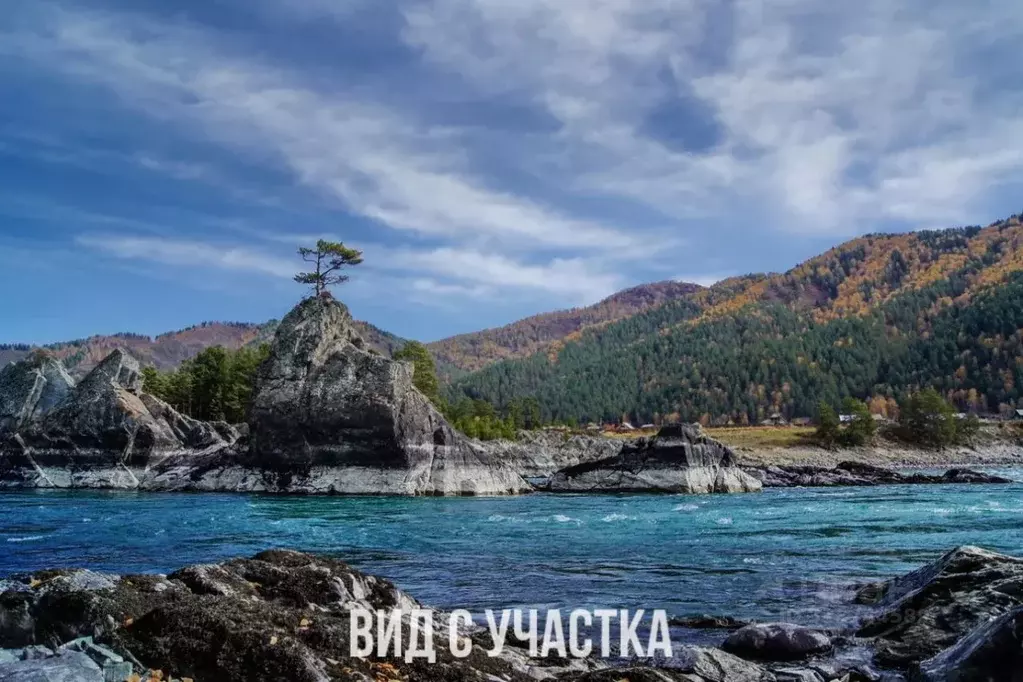 Участок в Алтай, Чемальский район, Рублевка ДПК ул. Садовая, 19 (112.0 ... - Фото 1