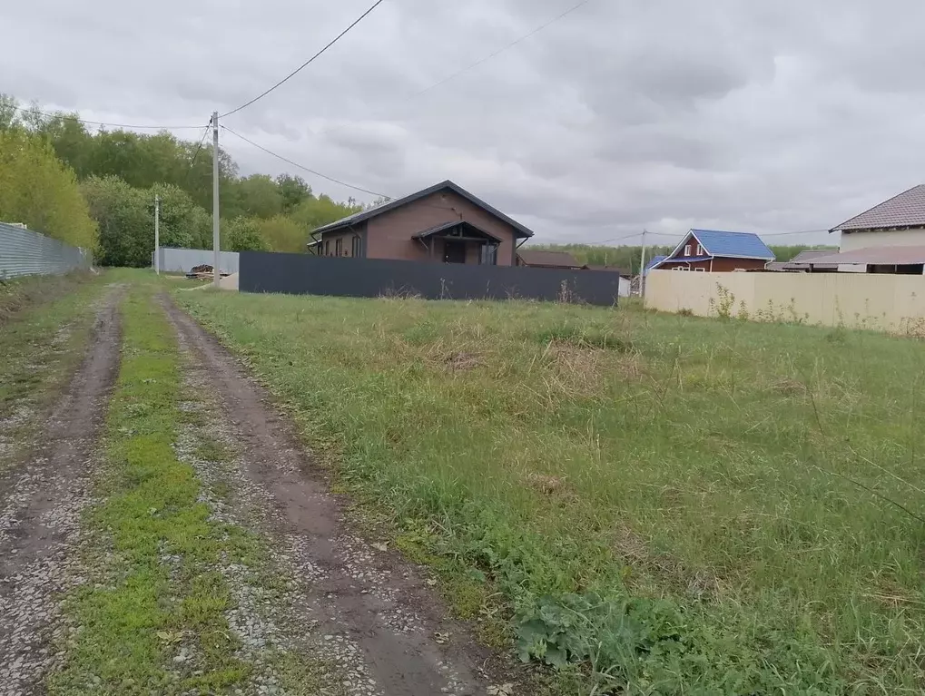 Участок в Новосибирская область, Новосибирский район, Мичуринский ... - Фото 1