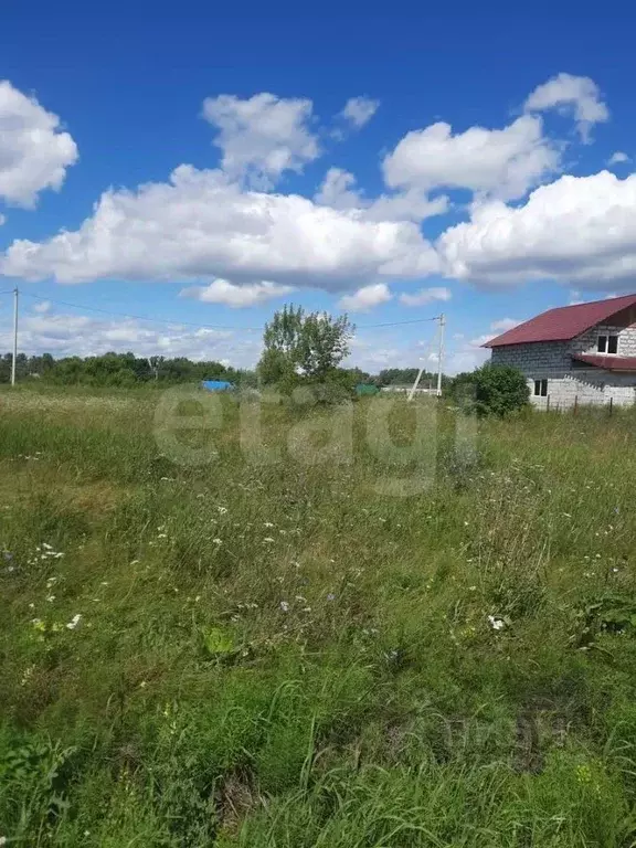 Участок в Алтайский край, Смоленский район, Верх-Обский сельсовет, с. ... - Фото 1