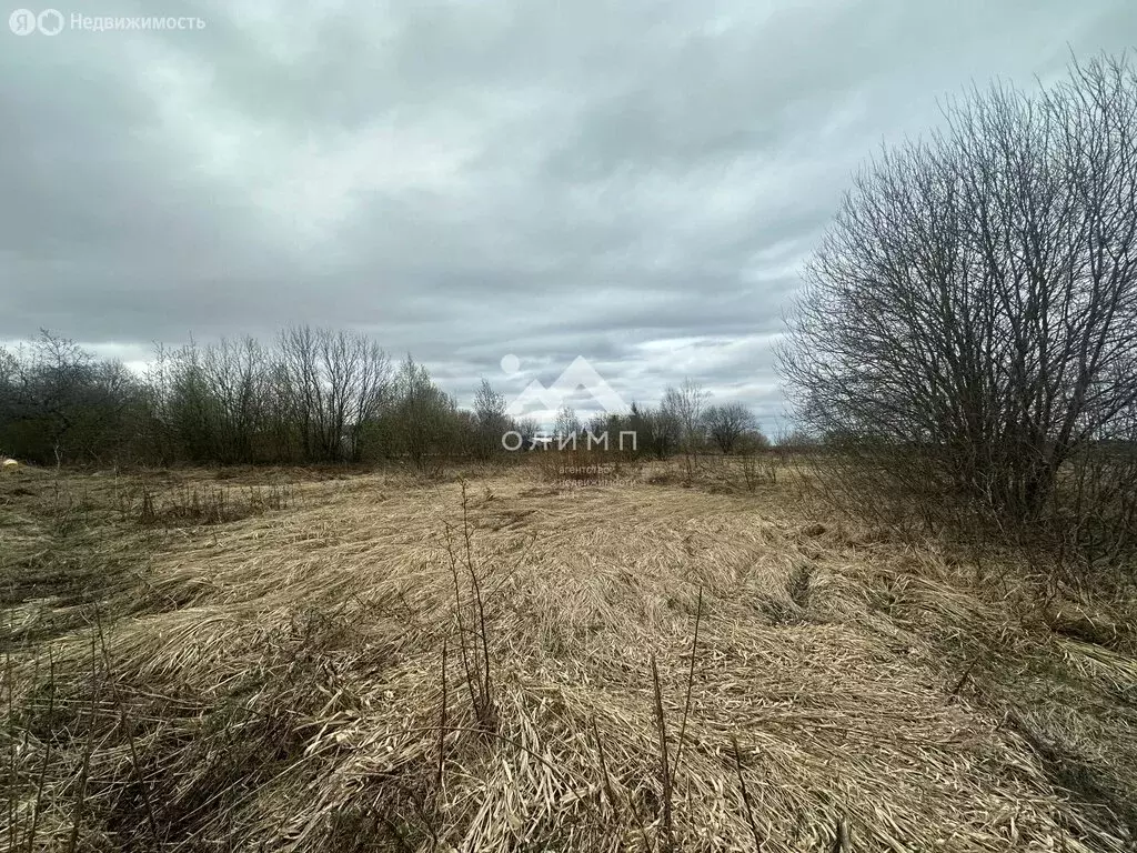Участок в Ярославский муниципальный округ, село Андроники (1509 м) - Фото 1