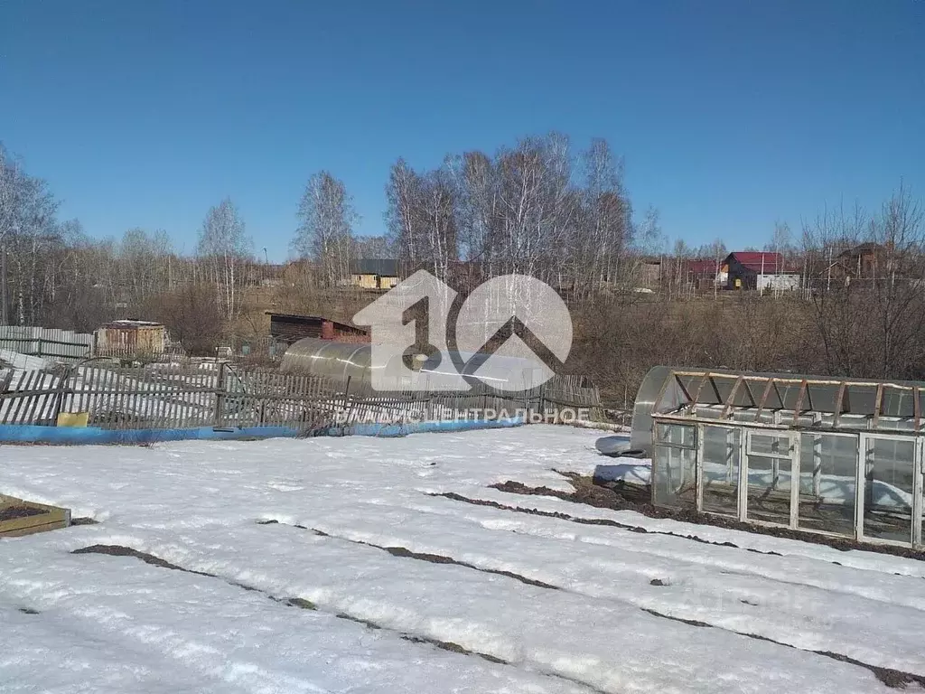 Участок в Новосибирская область, Новосибирский район, Станционный ... - Фото 1