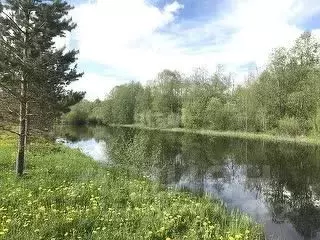 Участок в Вологодская область, Череповецкий район, Югское ... - Фото 1